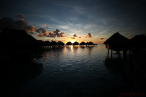 1-IMG_0333